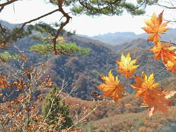 昌邑高鐵最新規(guī)劃圖揭秘，未來交通格局迎來嶄新篇章