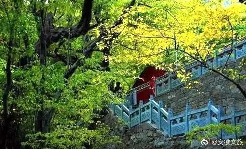 蕭縣最新招聘信息與自然美景探索，工作與生活的心靈覺醒之旅