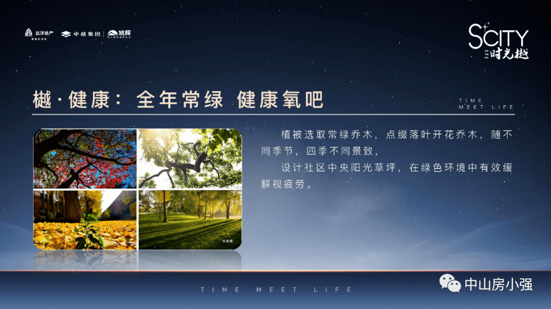 最新消消樂游戲深度解析與觀點(diǎn)闡述大全