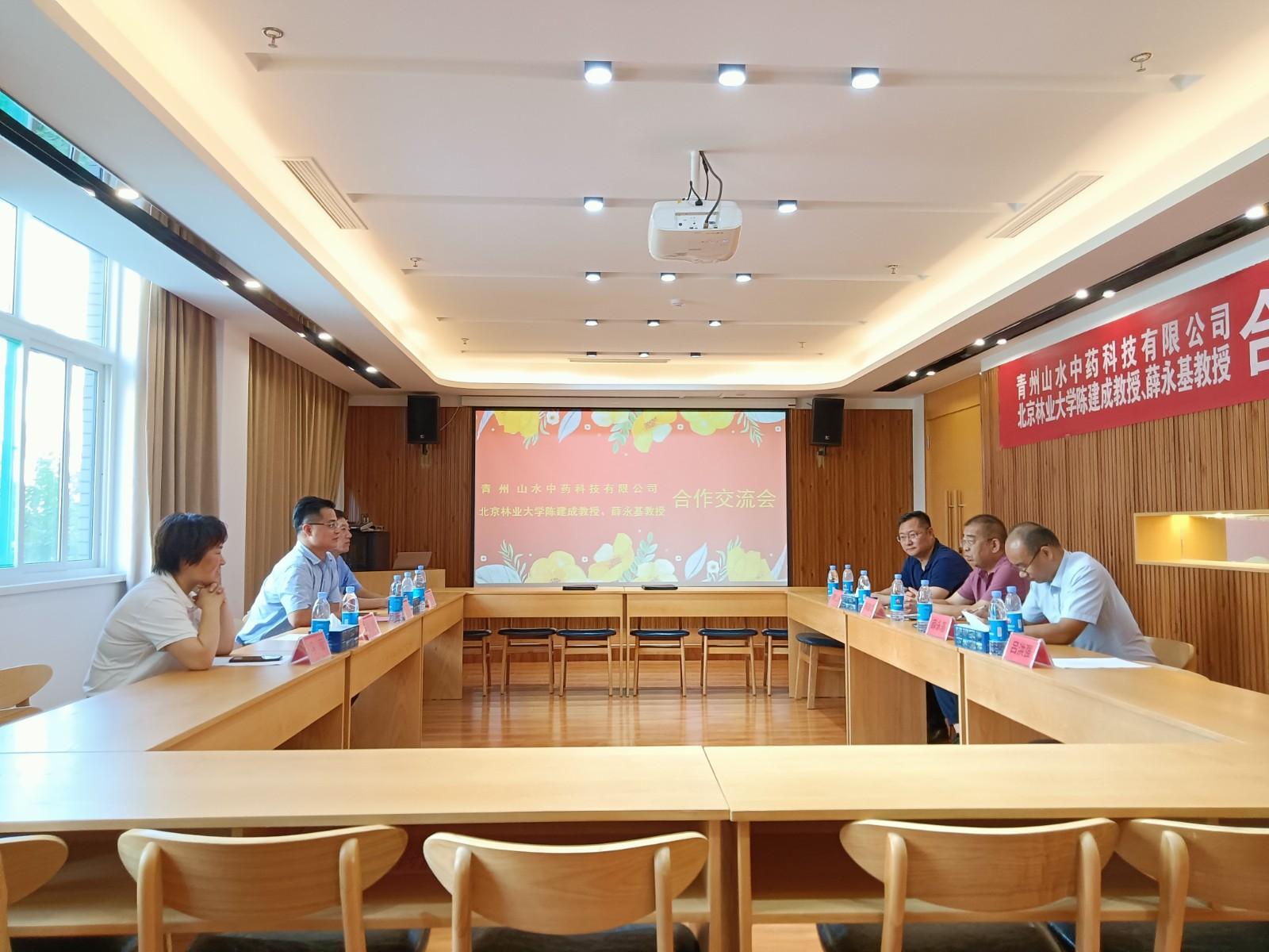 青州最新規(guī)劃揭秘，打造繁榮宜居未來(lái)城市藍(lán)圖