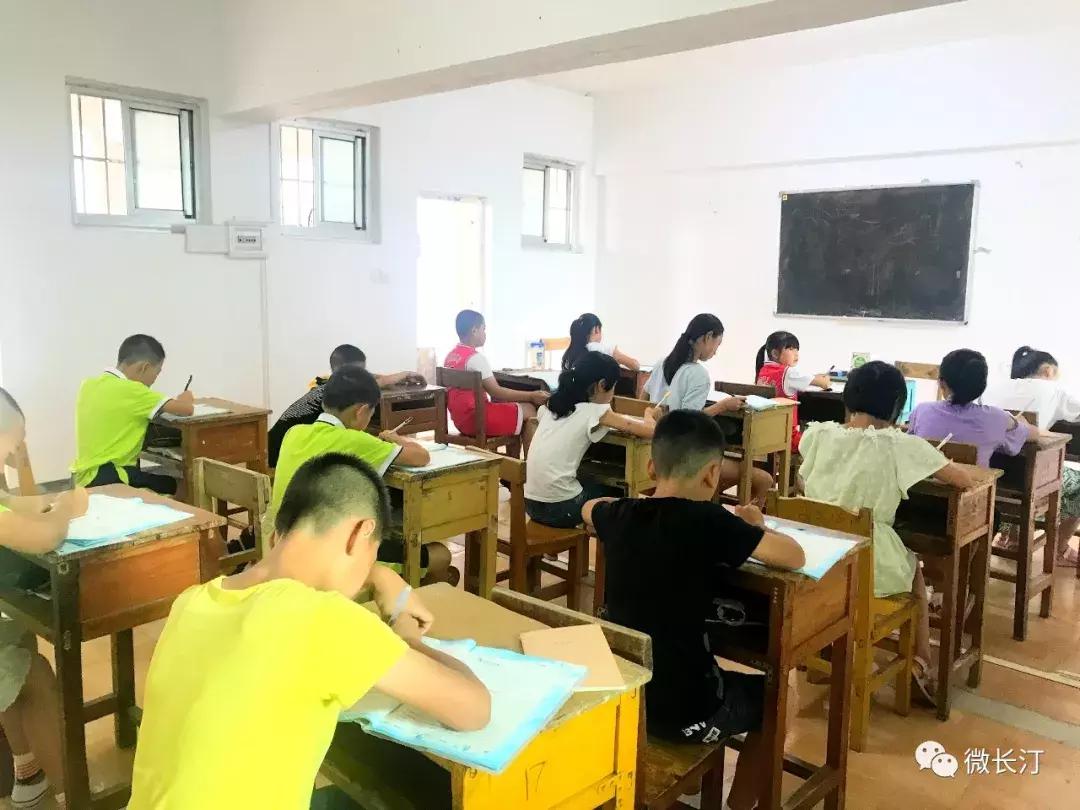 長汀論壇最新招聘啟事，與自然共舞，啟程心靈之旅，把握職業(yè)新機遇！