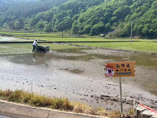 新贛南路改造完成，探索自然美景，重拾內(nèi)心寧靜之路