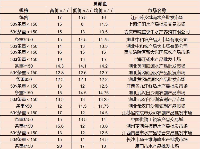 最新理論片大全2024，自然美景的心靈之旅啟程尋找內(nèi)心平和之地