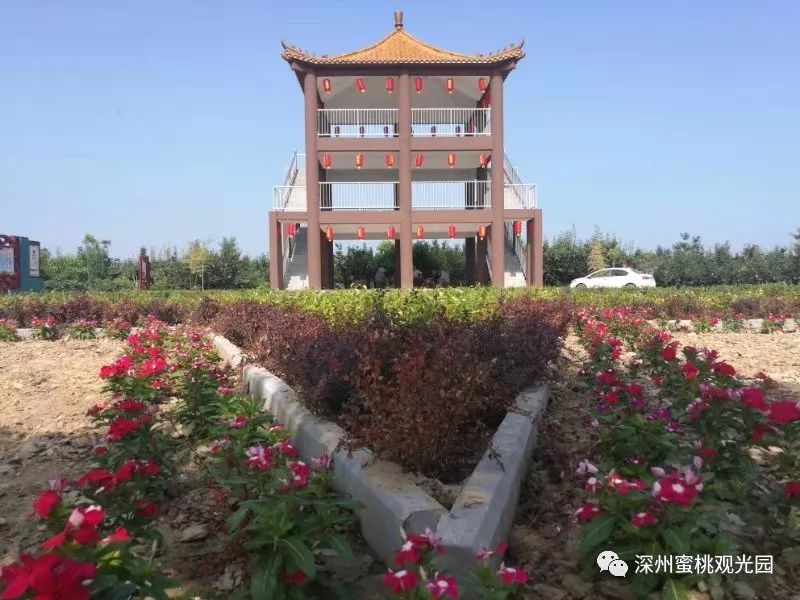 深州最新疫情,深州綠意之旅，疫情下的自然療愈與心靈探險(xiǎn)