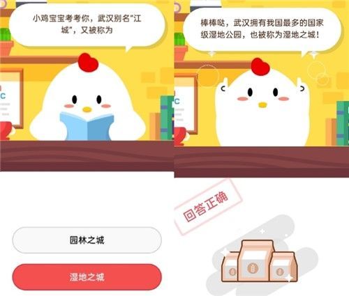 最新小雞答案獲取與解析步驟指南，適用于初學(xué)者與進(jìn)階用戶