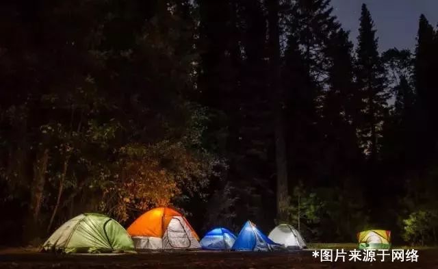 月光視頻最新探索，光影交織下的浪漫之夜