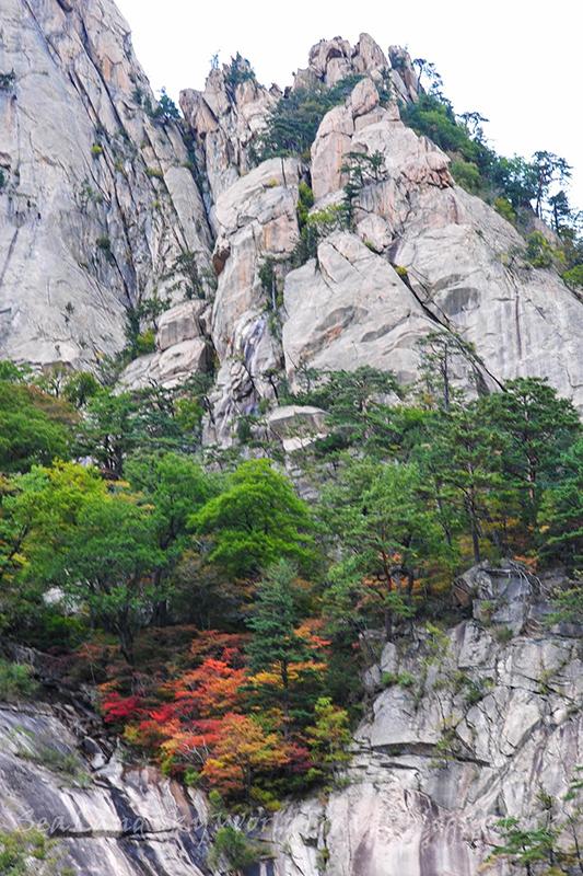 最新韓國影片，自然美景之旅，探尋內(nèi)心寧靜與喜悅