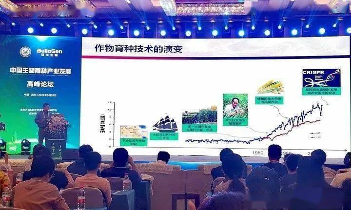 最新狗血?jiǎng)∩疃冉馕雠c介紹