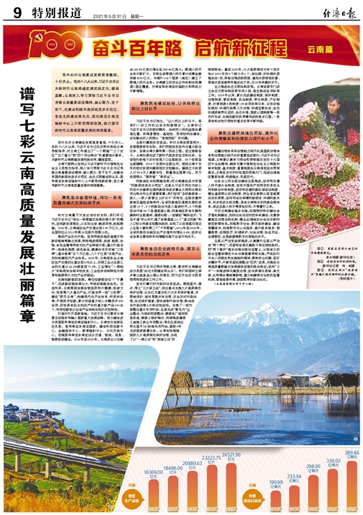 大城疫情新篇章，學習之旅中的變化與成就源泉