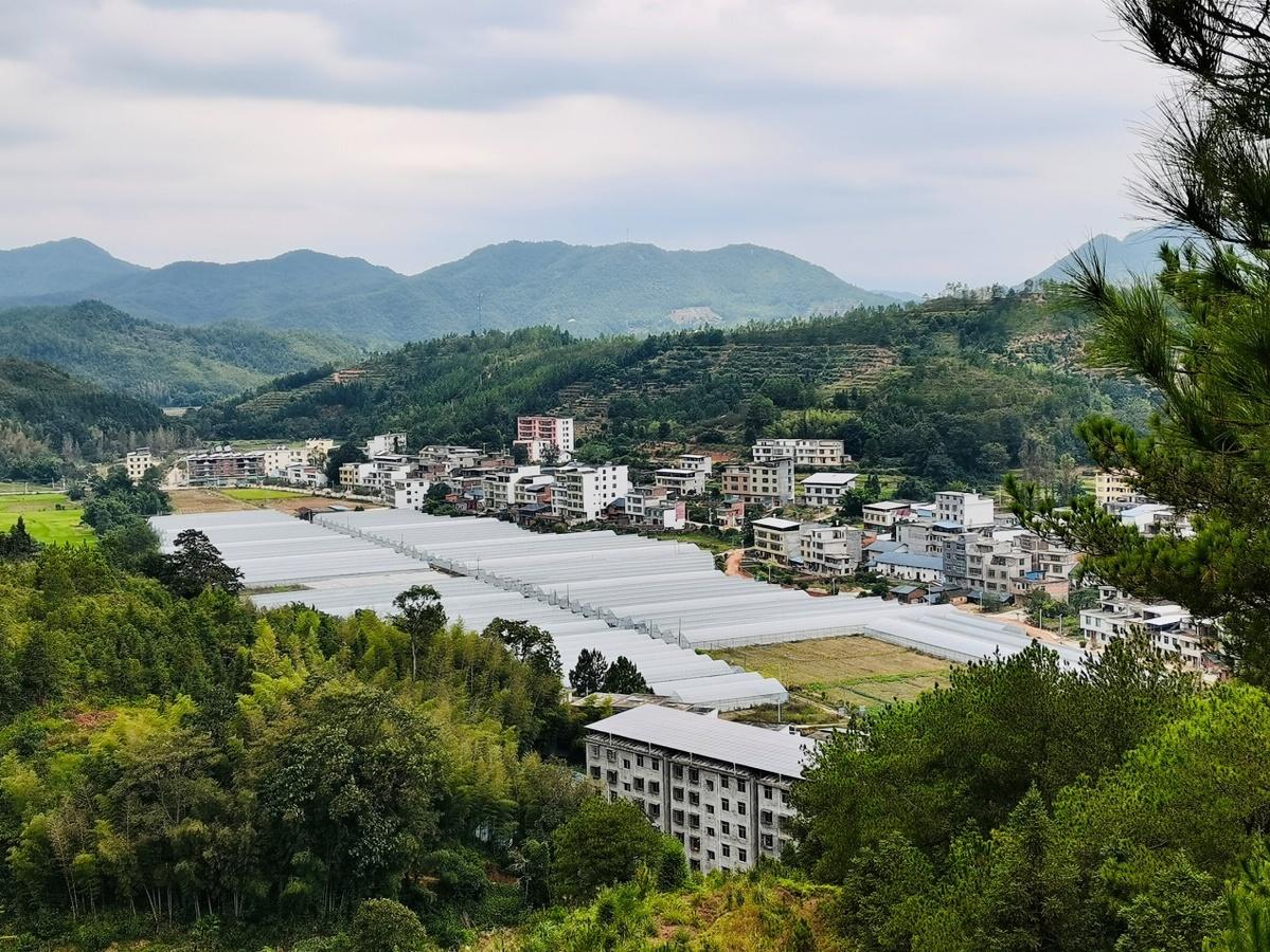 長(zhǎng)沙隱秘小巷二手房新篇章，獨(dú)特環(huán)境與特色小店的奇妙故事背后的房?jī)r(jià)探索